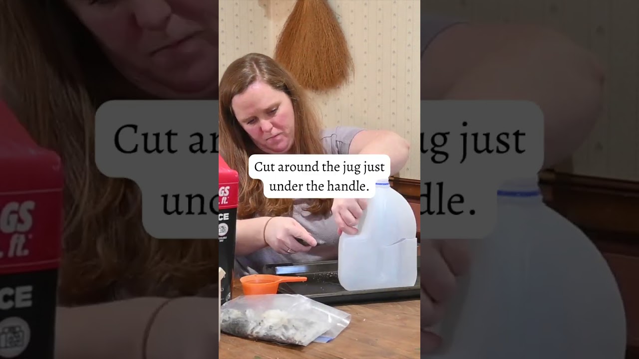 How to Winter Sow in Milk Jugs