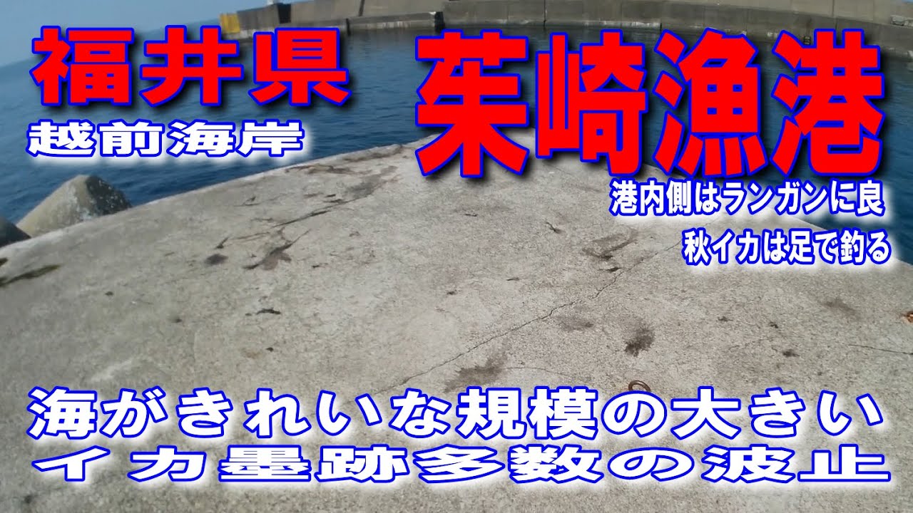 #88福井県茱崎漁港福井県福井市蒲生町海がきれいな規模の大きいイカ墨跡多数の波止越前岬海藻多数秋イカ多数港内側をランガンに良し秋イカは足で釣る整備された素敵な漁港ファミリー家族連れサビキ釣りに良い