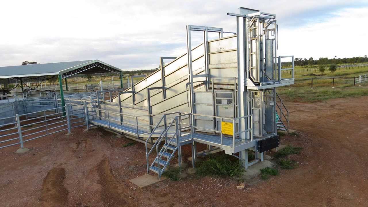 ProWay QLD Cattleyards 
