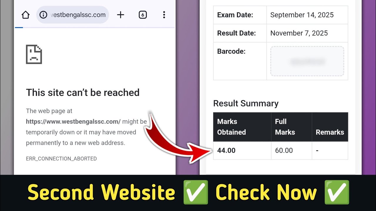 How to Check SSC Result 2025 Online | Wbssc Website Not Working Problem | SSC Result Check Problem