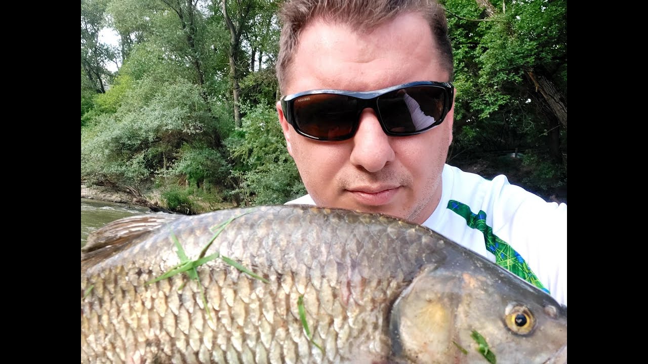 Huge Chub