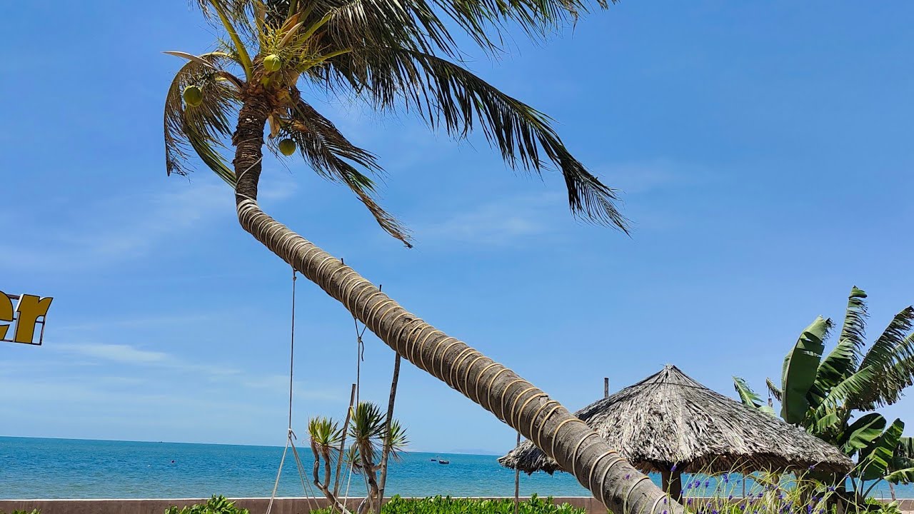 ВЬЕТНАМ. МУЙНЕ. ОТЕЛЬ OCEAN PLACE MUI RESORT 4* ЗАВТРАК. ПРАВИЛА ПРОВОЗА ФРУКТОВ. 07.04.2024