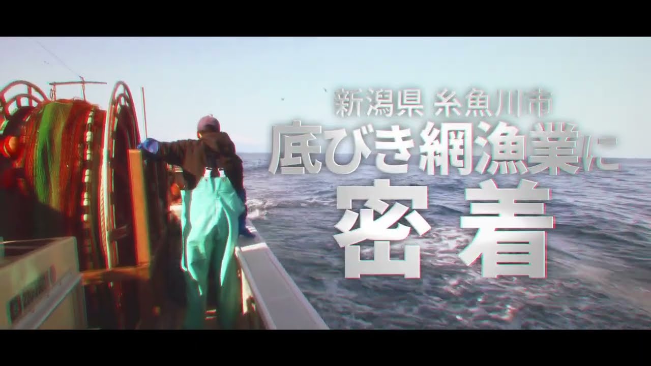 漁師の１日動画「底びき網漁業に密着」
