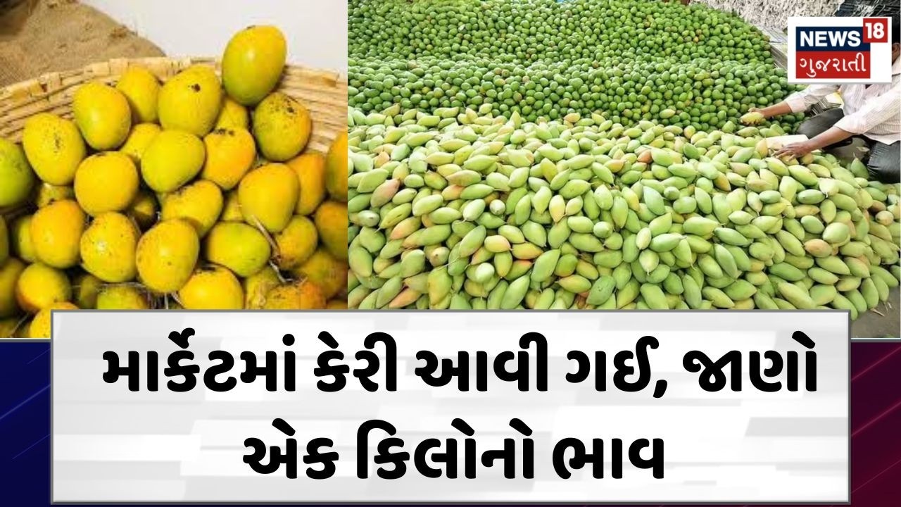 Porbandar Mango Market | કેરી આવી ગઈ ! એક કિલોનો ભાવ સાંભળી પરસેવો વળી જશે | Summer Fruit | N18V