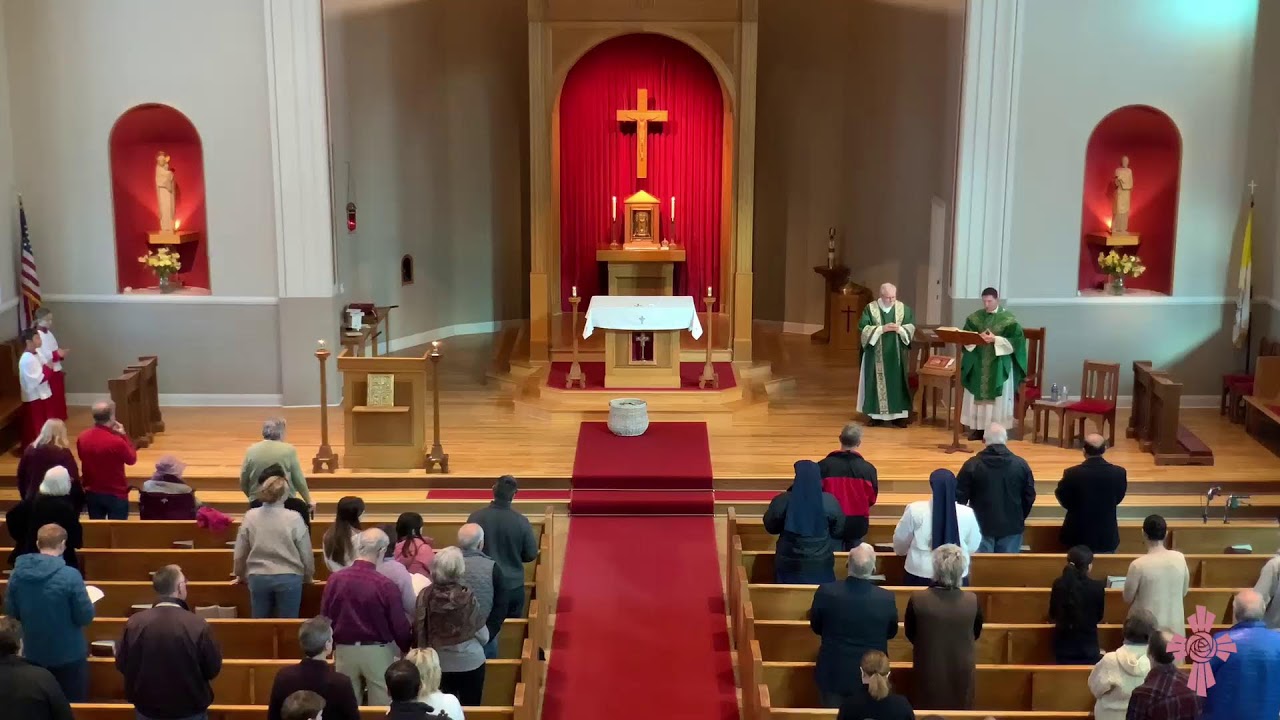 Third Sunday in Ordinary Time, 25 January 2026