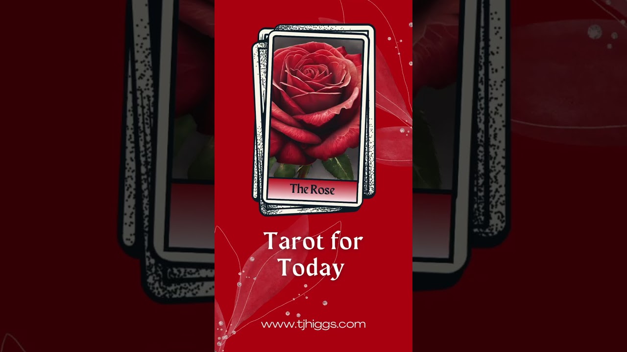 Tarot - The Rose