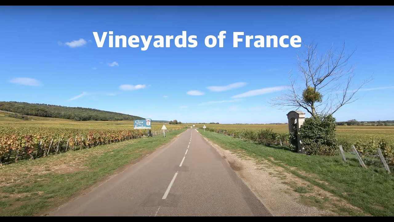 Chambolle-Musigny 🇫🇷 Crossing the most beautiful vineyards of France - Driving in Bourgogne