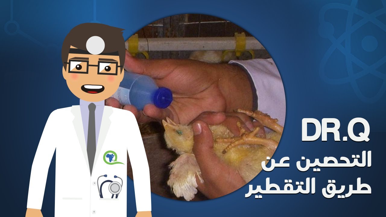 Dr.Q - Eye drop vaccination | التحصين عن طريق التقطير