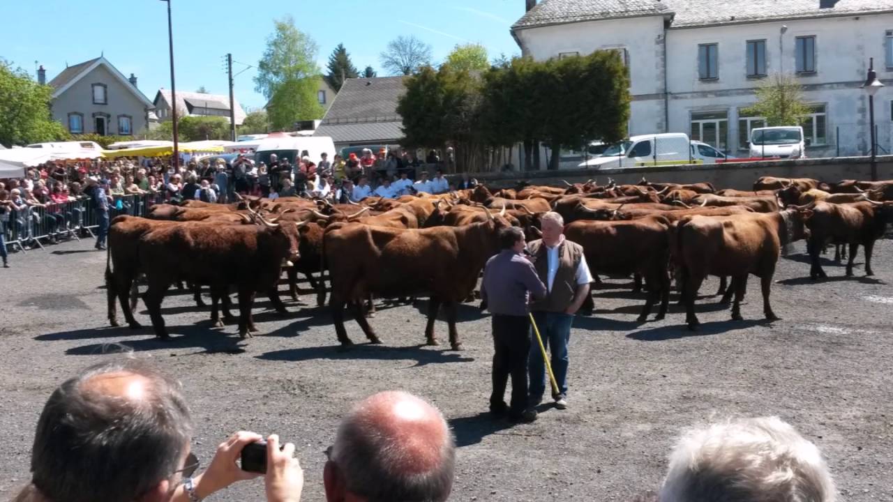 Fête de l Estive Allanche  2016