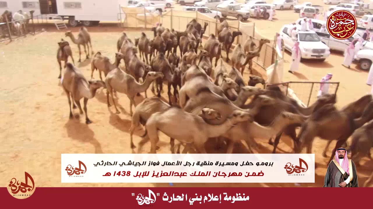 برومو حفل ومسيرة منقية رجل الأعمال فواز الجياشي الحارثي ضمن مهرجان الملك عبدالعزيز للإبل 1438
