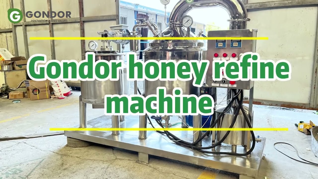 Purify Honey with Precision 🍯 Gondor's Pro-Grade Processing Machine Explained #gondormachinery