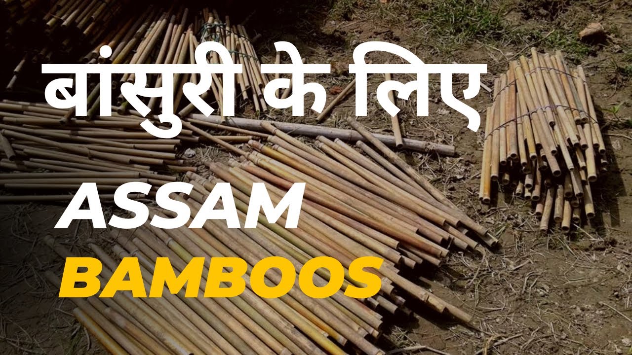Assam Bamboos for Flute ll Bamboo for Bansuri