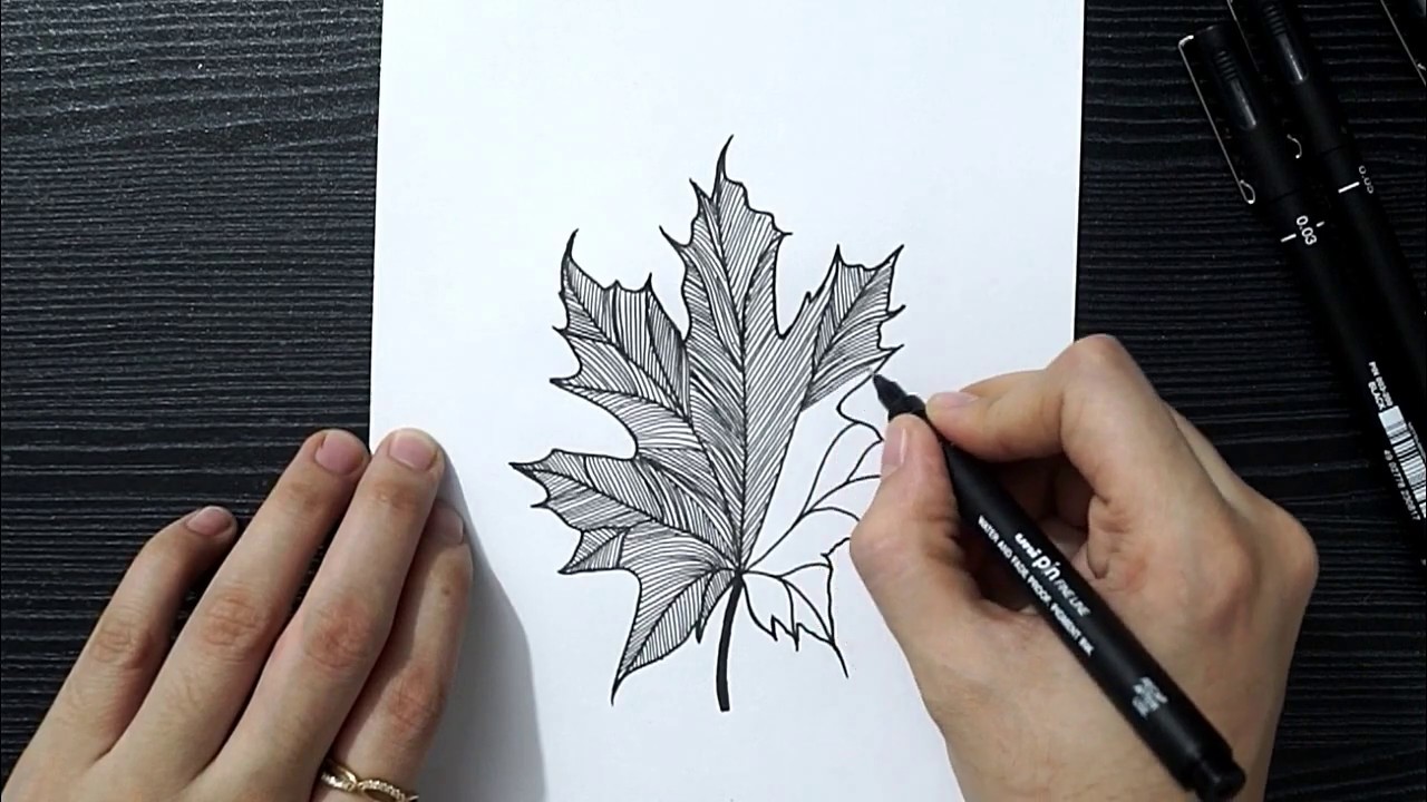 Как нарисовать лист || Легкое рисование листьев || Шаг за шагом || Doodle Art