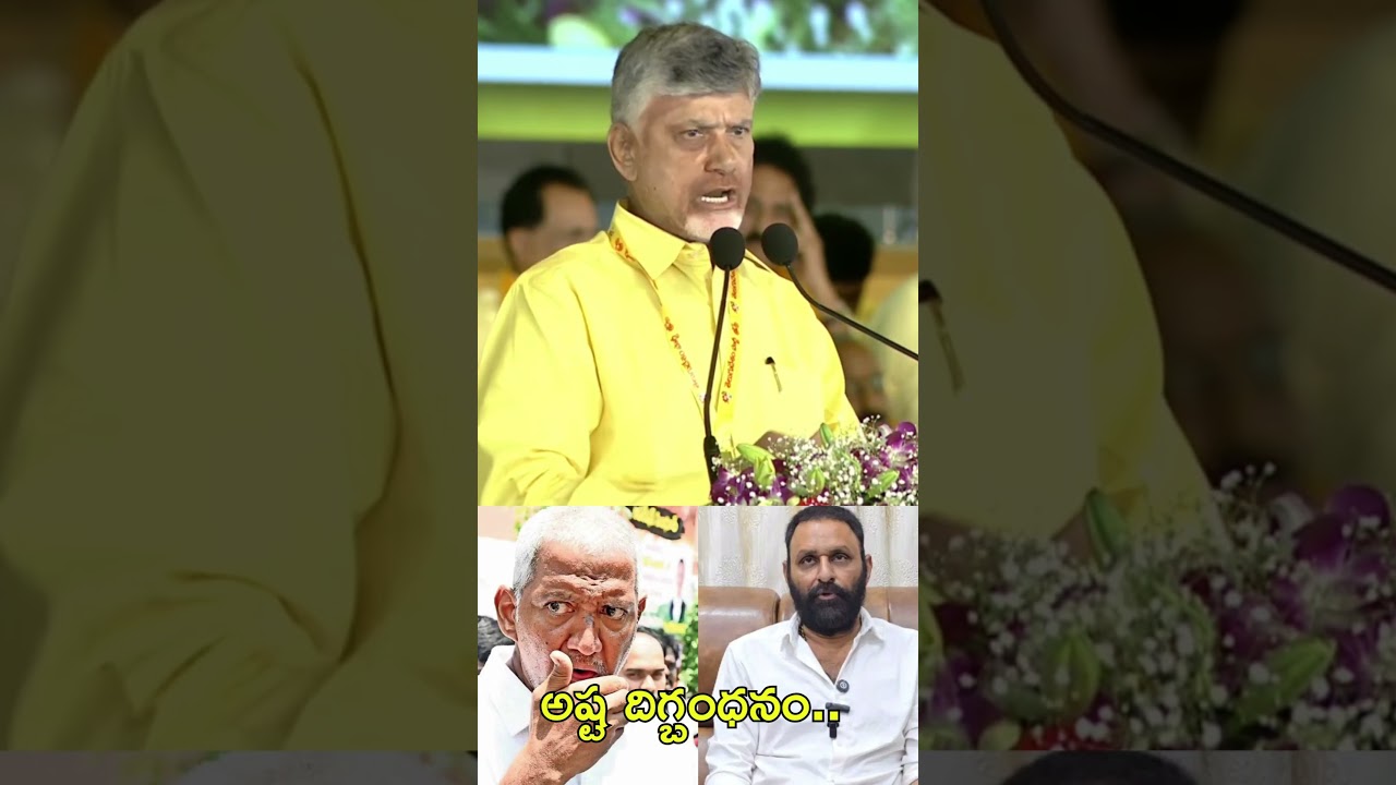 CM Chandrababu Comments On YSRCP Leaders Arrest : PDTV News