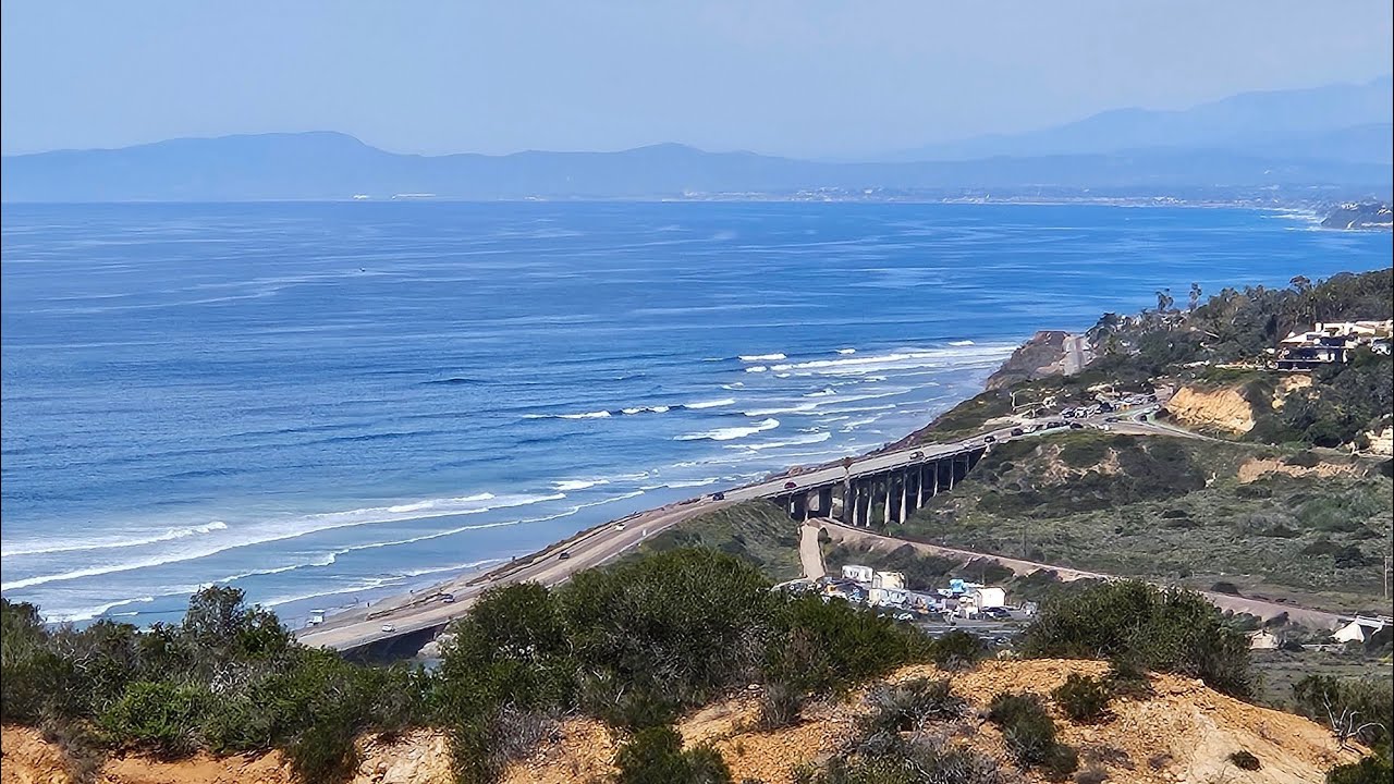 Discover Torrey Pines Natural Reserve| San Diego's Coastal Gem