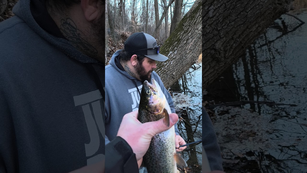 Delayed Harvest Trout Fishing Mayhem!