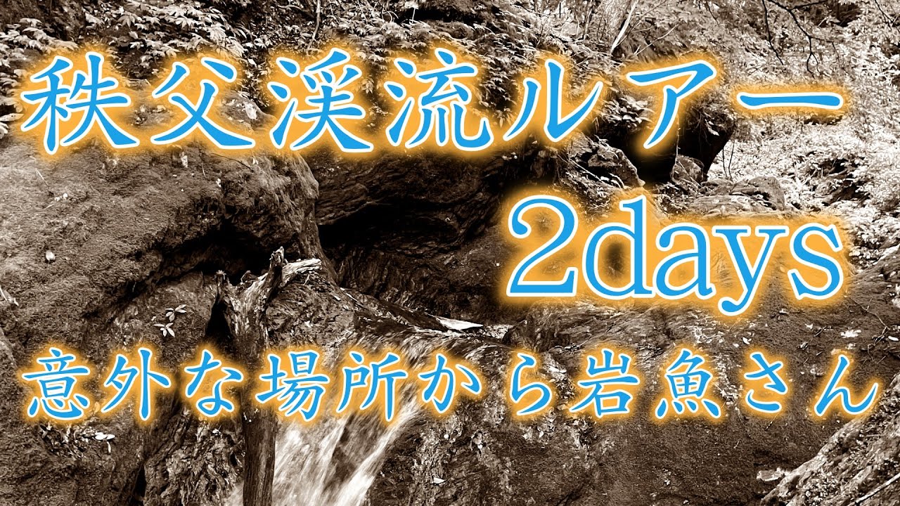 秩父の渓流で今日もお魚さんと戯れる。雨の日ですが沢の水量はめちゃ少ない。ちょろ沢で意外な大物？が飛び出し感動！これだから渓流釣りはやめられない！渓流ルアーフィッシングは最高です！