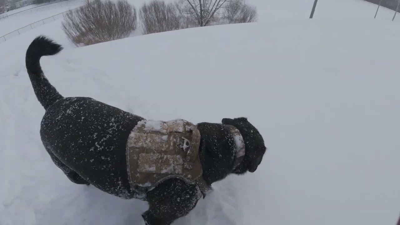 Walk n Talk, эпизод 30