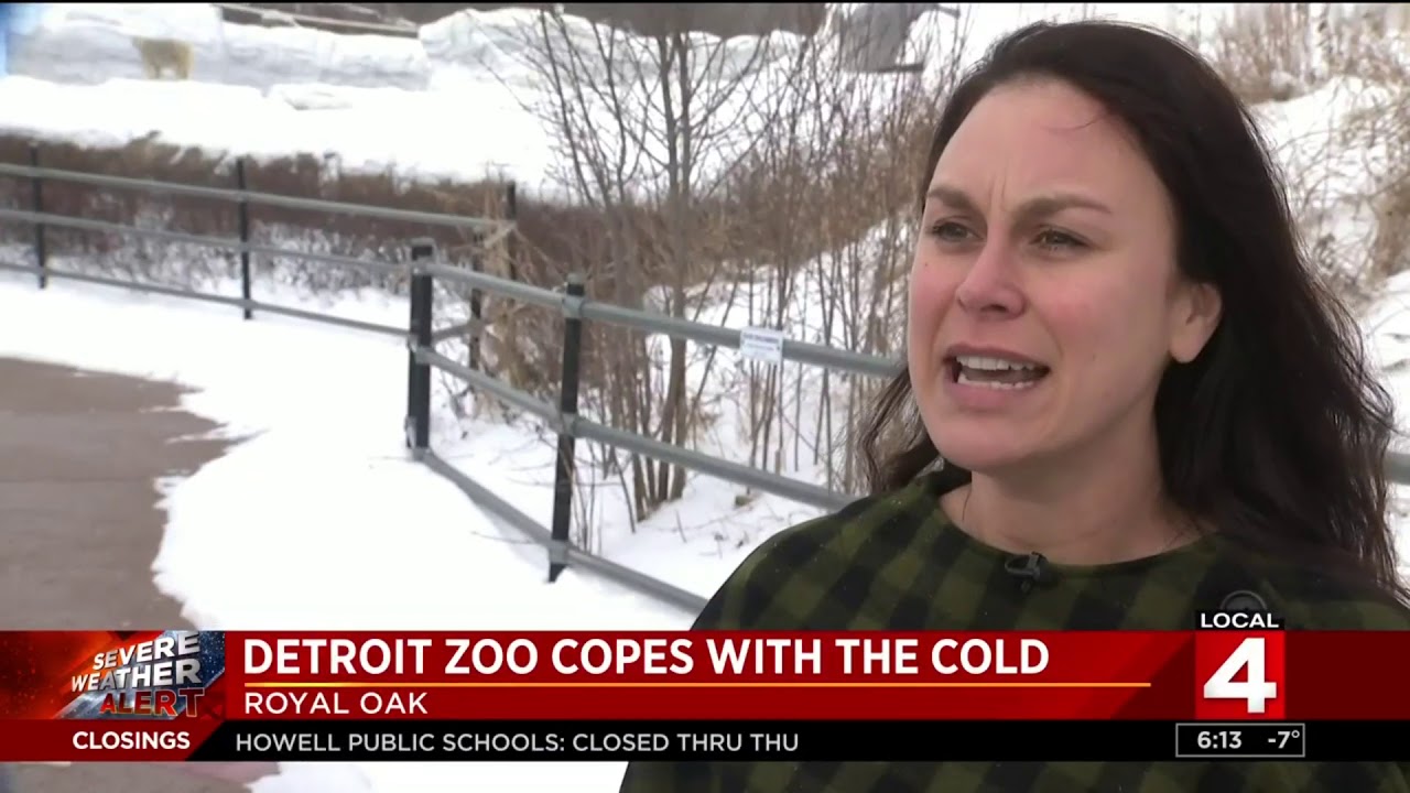 Detroit Zoo copes with dangerously cold weather