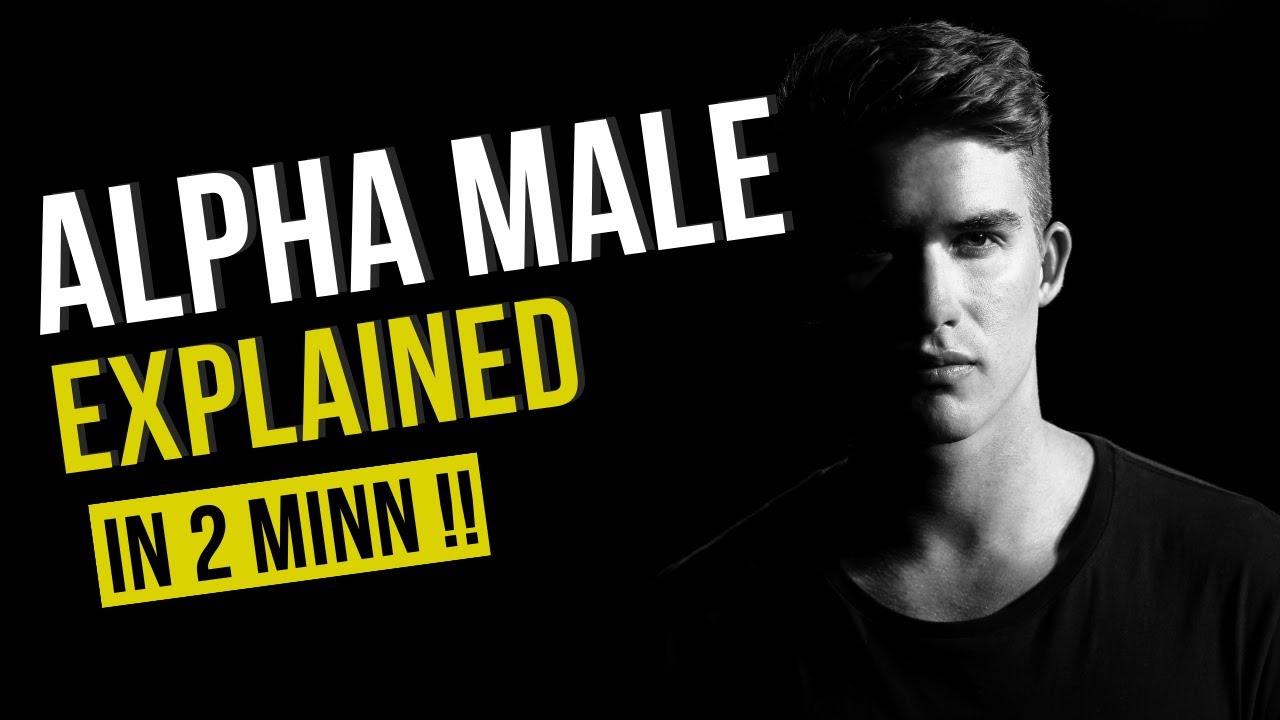 what is an alpha male ? - alpha male explained in 2 min