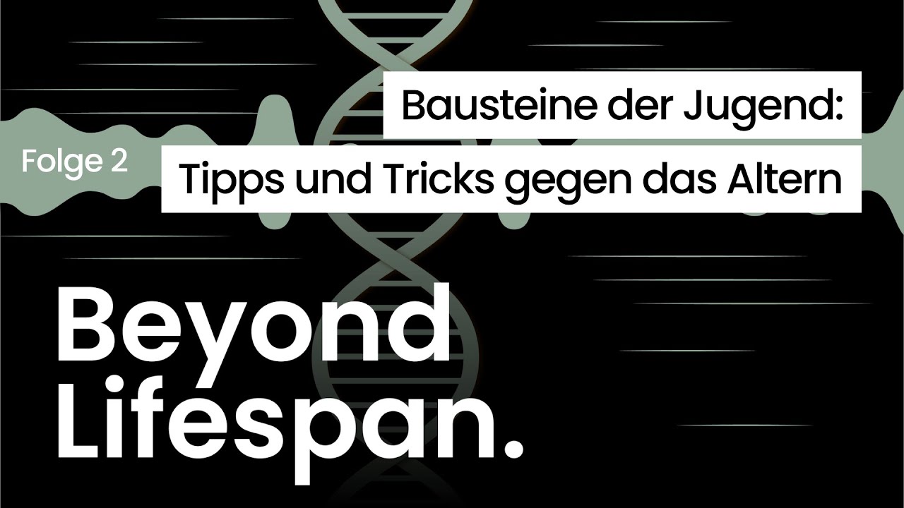 Bausteine der Jugend: Tipps und Tricks gegen das Altern