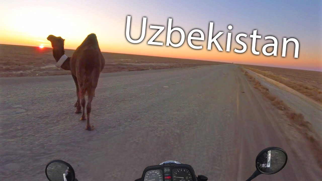 Oezbekistan: ontmoetingen met locals, Aralmeer, Tasjkent, Samarkand, Bukhara en Khiva, Motorreis #8