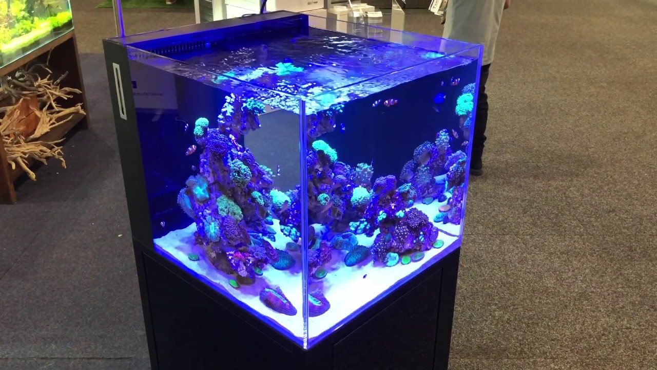 CADE Pro Reef 600 (PR600) exhibition display