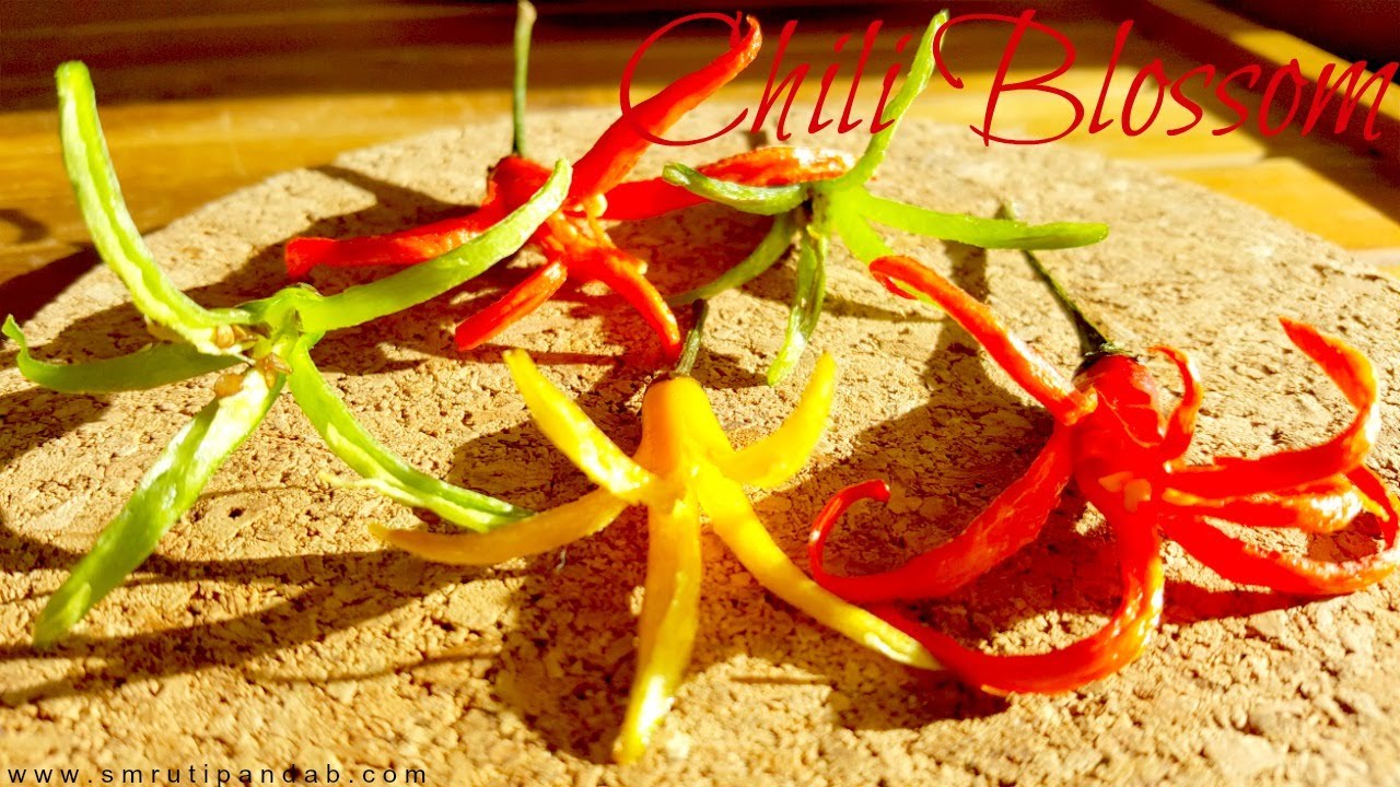 Chilli Blossom | How to make Chili flowers for garnish