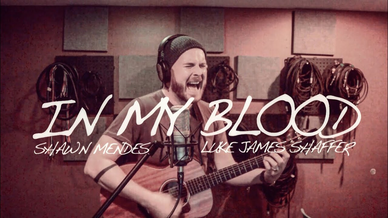SHAWN MENDES - 'In My Blood' Loop Cover By Luke James Shaffer