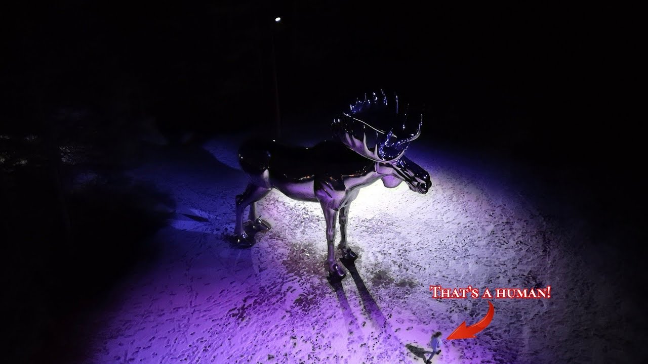Storelgen (The Big Silver Moose). Norway 4k drone. 