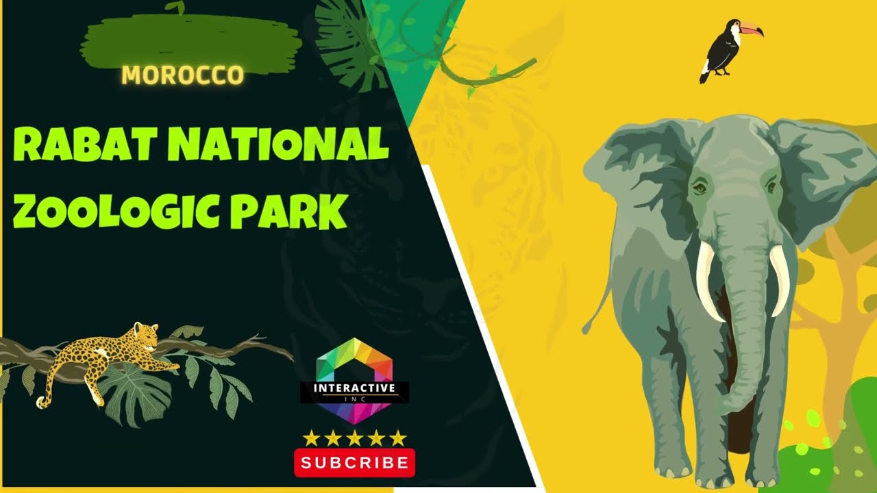Exploring the Wonders of : Morocco Rabat Zoo Park