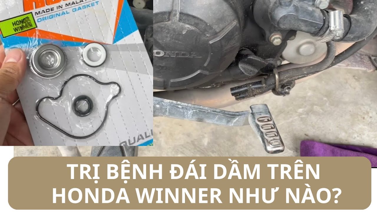 Hướng dẫn thay phốt nước mát cho winner, trị bệnh rị nhớt và nước mát trên winner