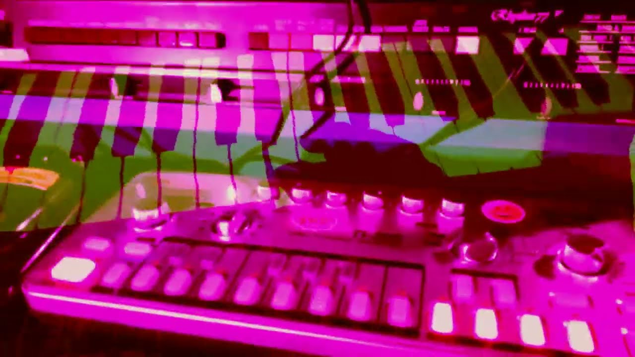 Noheadchicken live /// microplastics pollute Nature