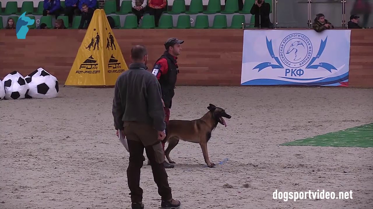 Category 3 - Claus Angerer + Baryk Retrobelge / BSD (Malinois) - Austria