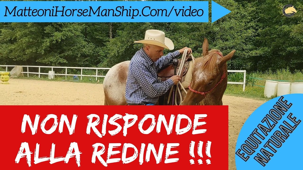 Montare in capezza: Come migliorare la risposta alle redini