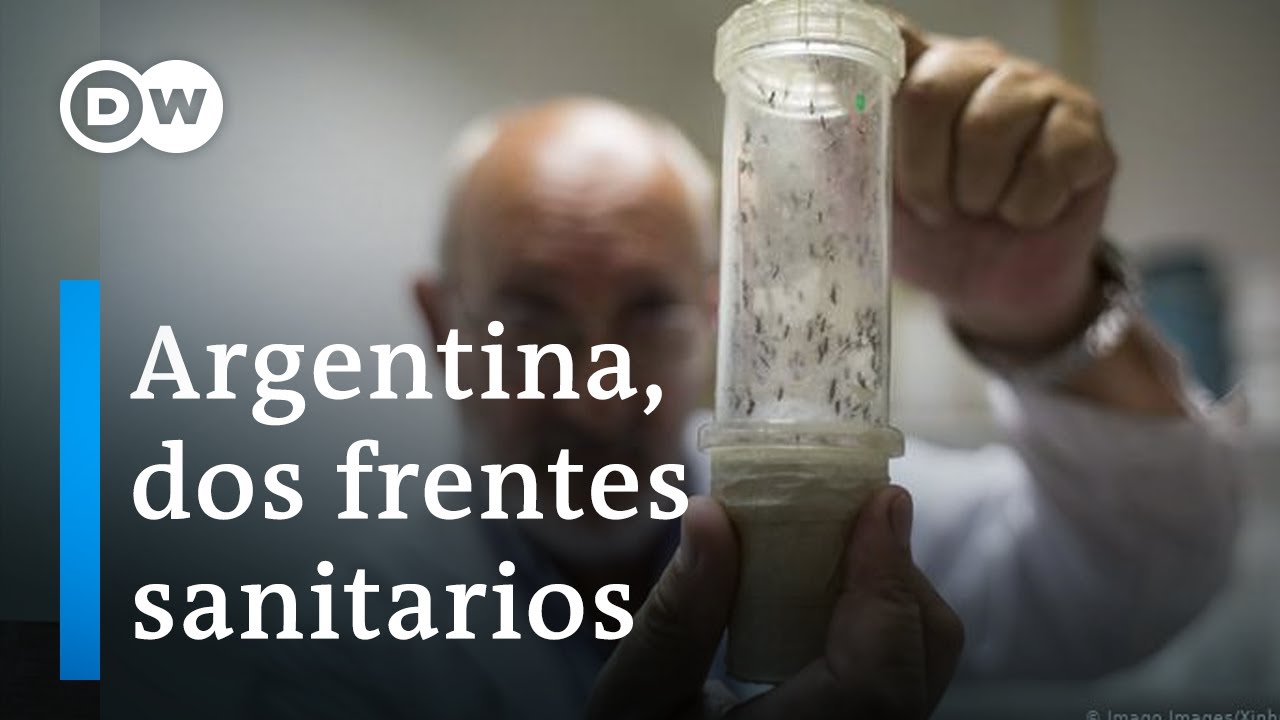 Argentina lucha contra una epidemia y una pandemia