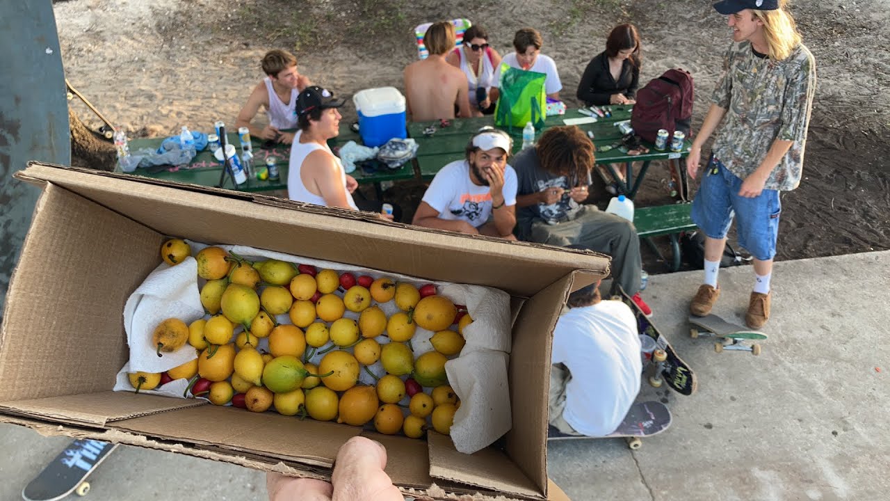 Kids Tasting Lemon Drop Mangosteen and Miracle Fruit at Skatepark
