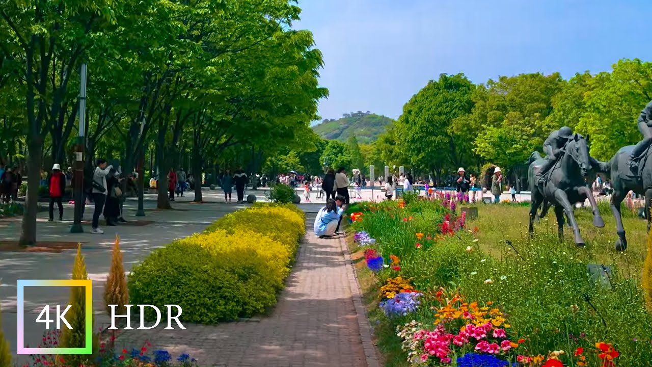 Seoul Forest Walk | Tulip Spring Flower Would you like to take a walk with me? :) | 4K HDR
