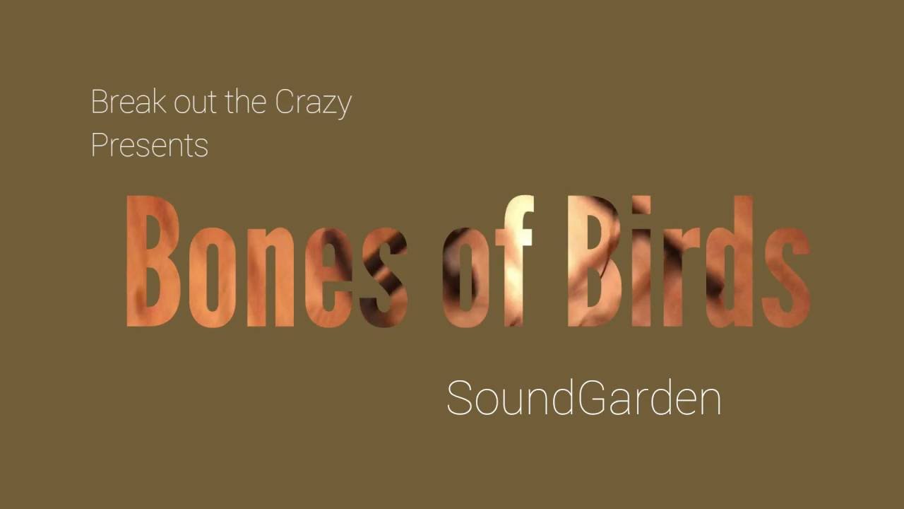 Break Out The Crazy - Bones of Birds (Cover)