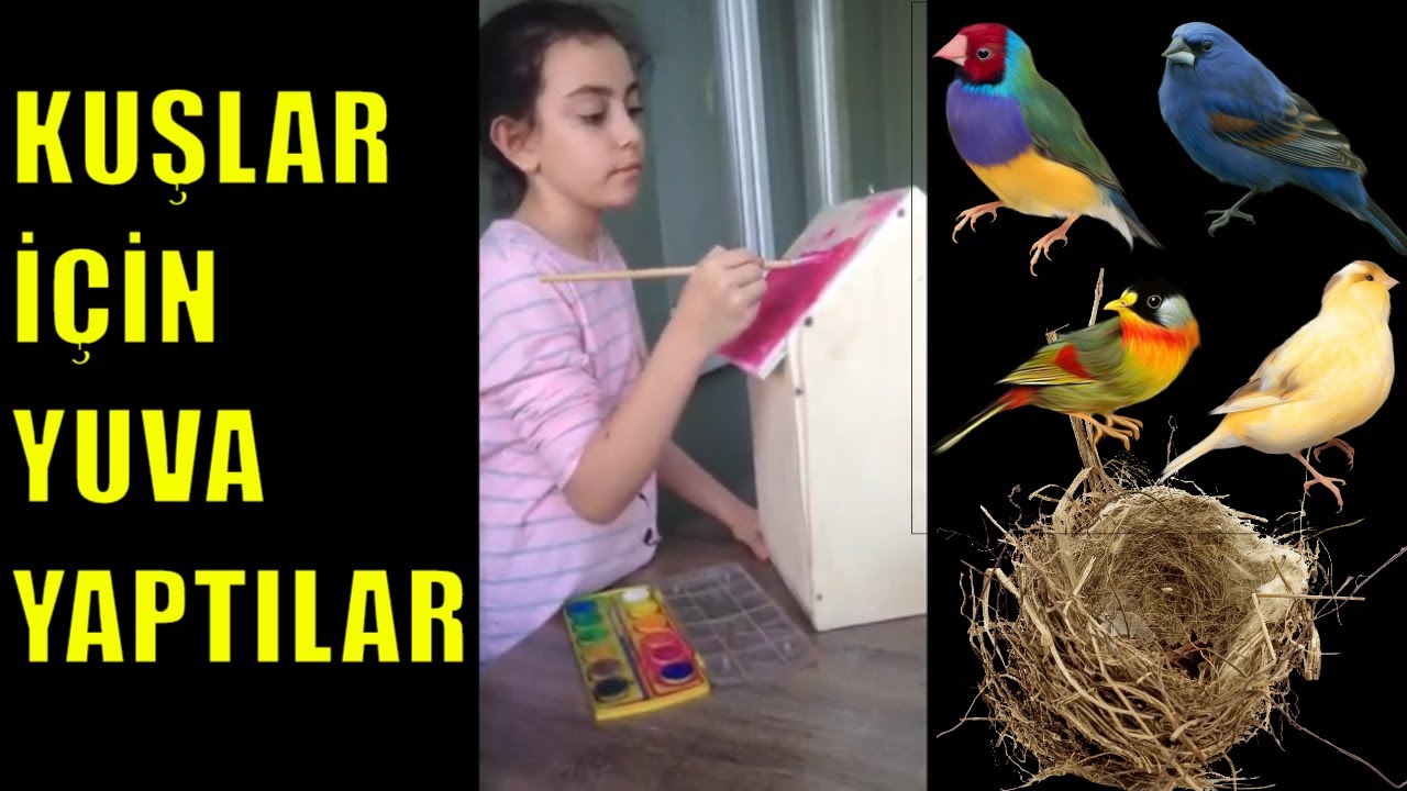 10 G&Uuml;ZEL KUŞ EVİ YAPIMI- DOĞADAKİ KUŞLAR İ&Ccedil;İN YUVA YAPIMI