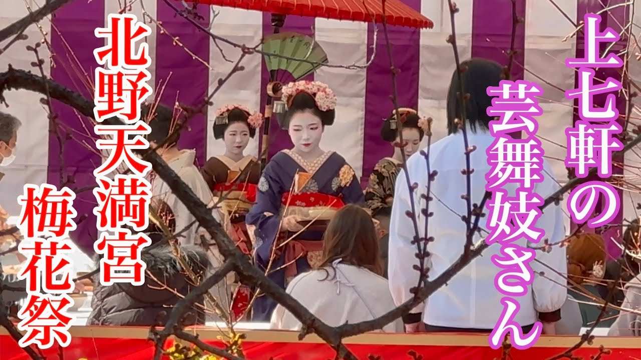2025年2月25日 上七軒の華麗な芸舞妓さんたちによる野点大茶湯 Geisha and maiko in Kamishichiken 【4K】北野天満宮梅花祭