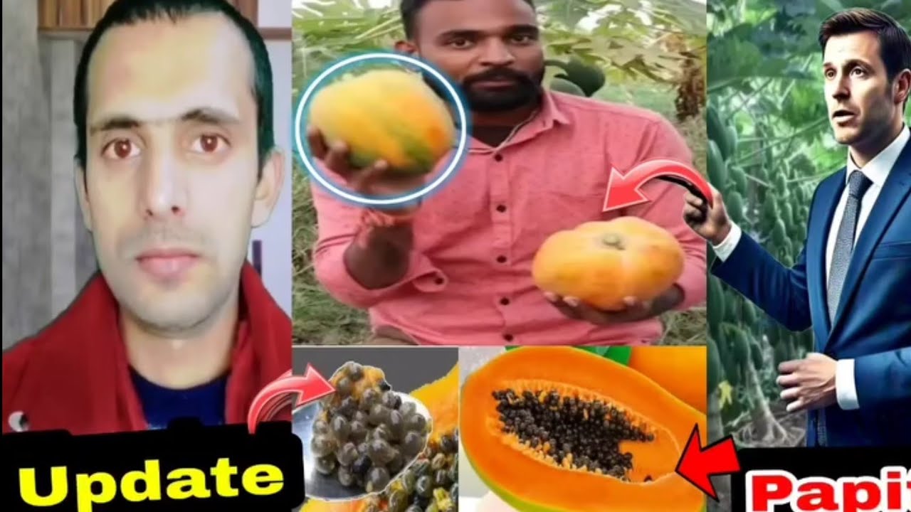  papita Ramzan Mubarak 2026