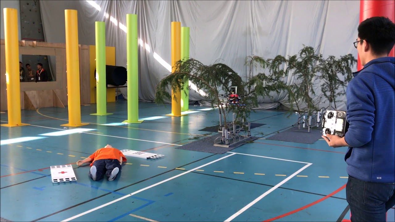 NUS UAV Team at IMAV 2017