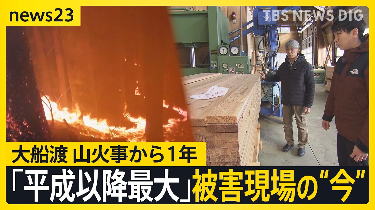 “平成以降最大”岩手・大船渡の山火事から1年　「ファイヤーロード」「水を使わない」アメリカに学ぶ山火事対策　「燃えた木はどうなる？」復興に向けた活用へ【news23】｜TBS NEWS DIG
