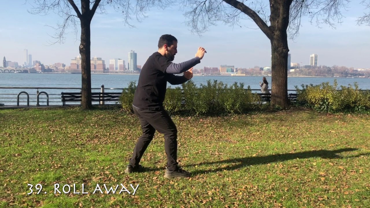 William CC Chen 60 Mvmt Tai Chi Form by Jon De Lucia - Rear View