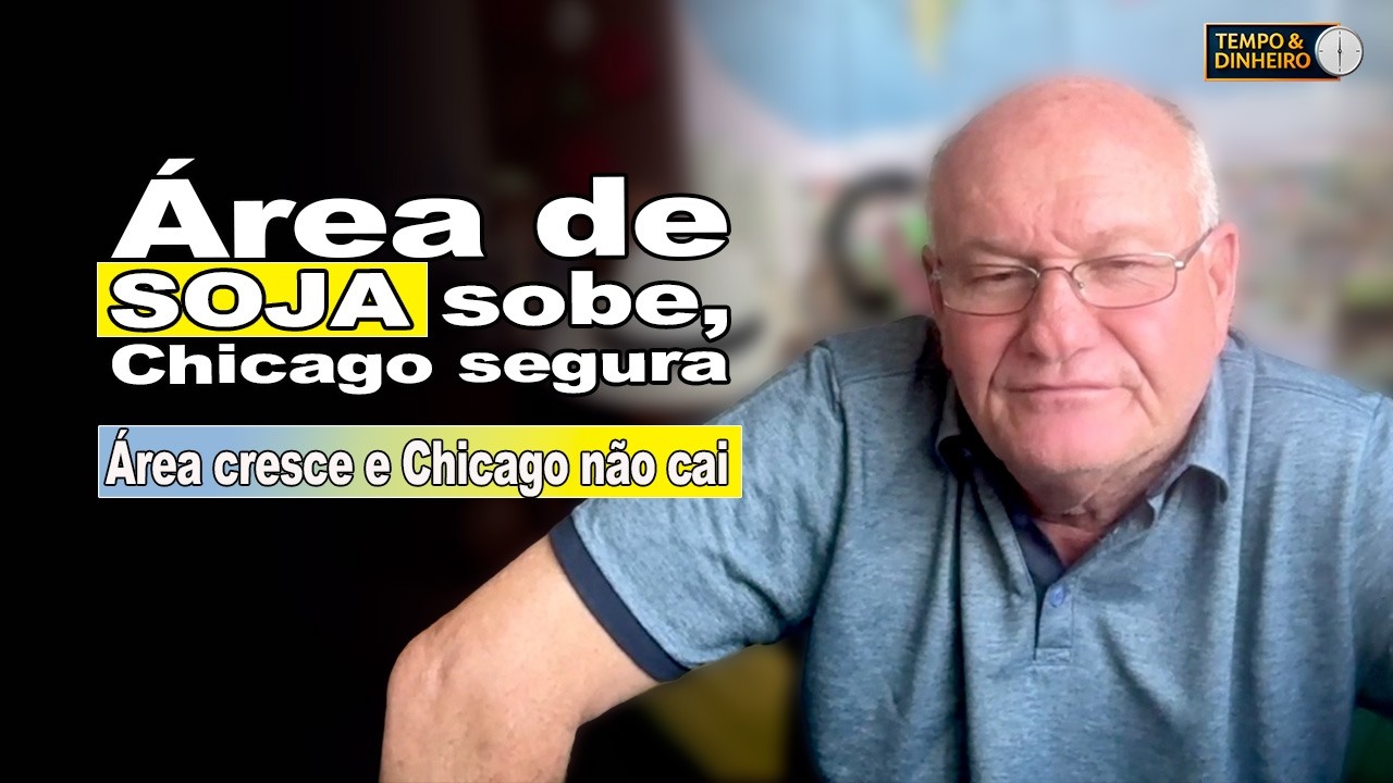 Outlook eleva área da soja, mas Chicago reage com cautela
