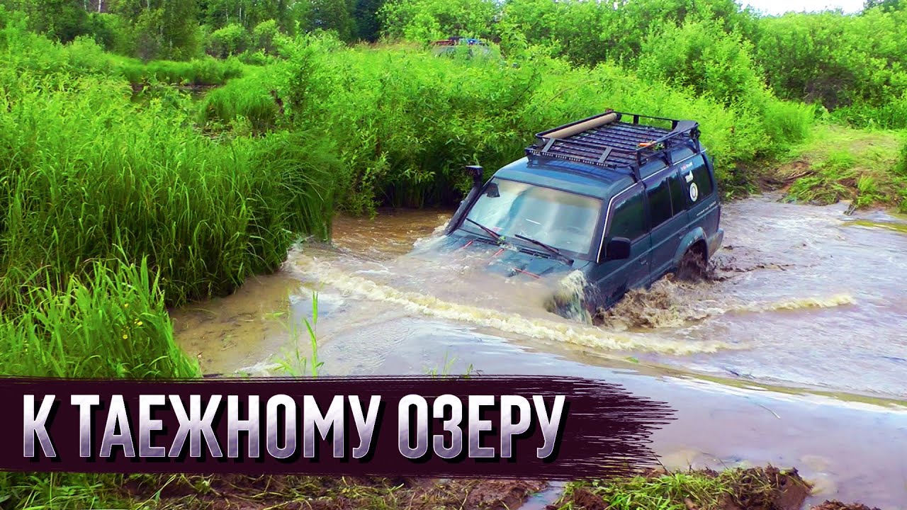 Озеро в ЗАКАЗНИКЕ ветлужской ТАЙГИ. Рыбалка, отдых, путешествия 2023.