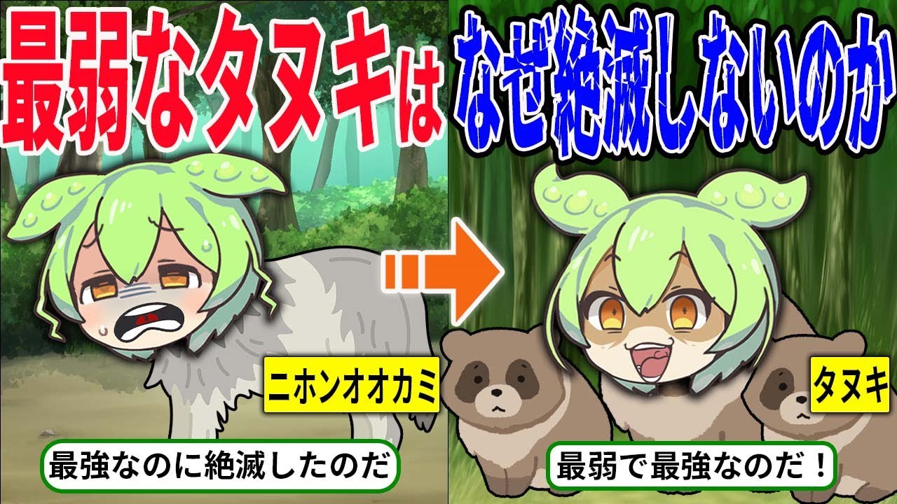 なぜタヌキは最弱なのに現在まで生き残れているのか【ずんだもん＆ゆっくり解説】
