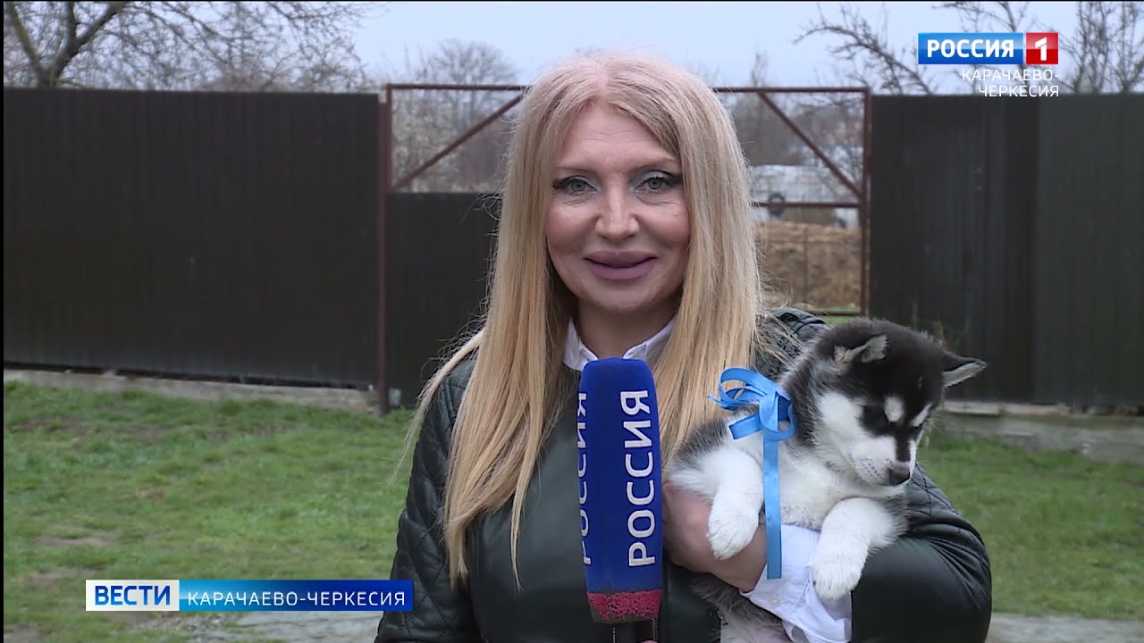 Владимир Путин исполнил мечту семиклассника из Карачаево-Черкесии