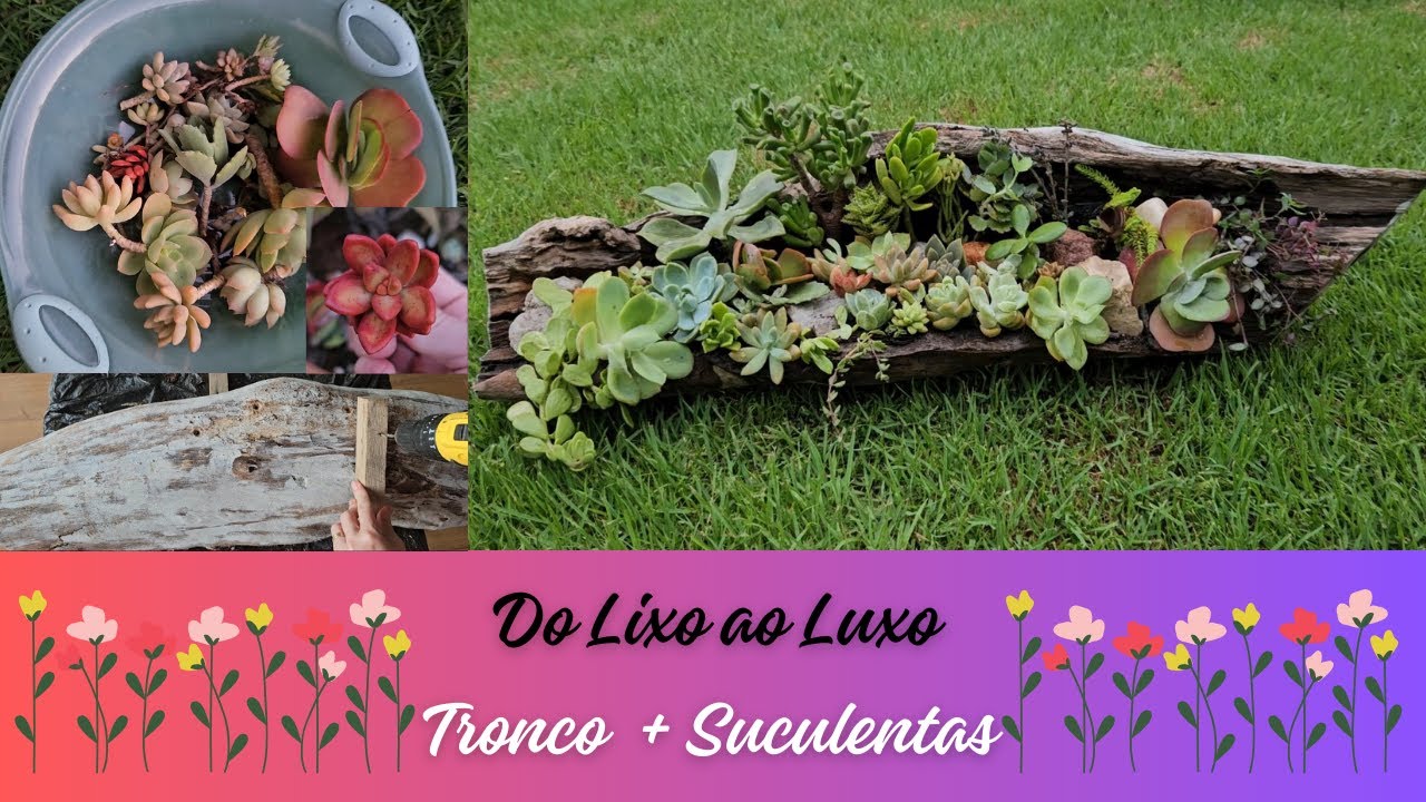 Transformei um Tronco Velho em Decoração p/ meu Jardim | Arranjo de Suculentas Lindíssimo | 5 Dicas!